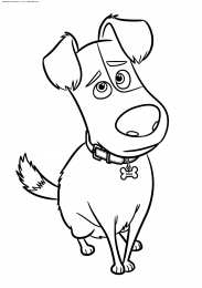 Раскраски домашние животные Раскраски для детей домашние животные. Наши питомцы.                      