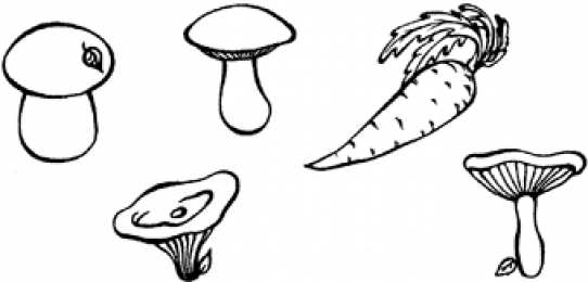Раскраски найди лишний предмет Ребенок должен найти лишний предмет из предложенных. Найди предмет. 