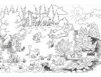 Раскраски пейзажи Раскраски лесной пейзаж