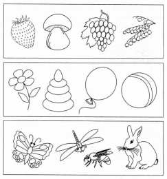  Лишний предмет